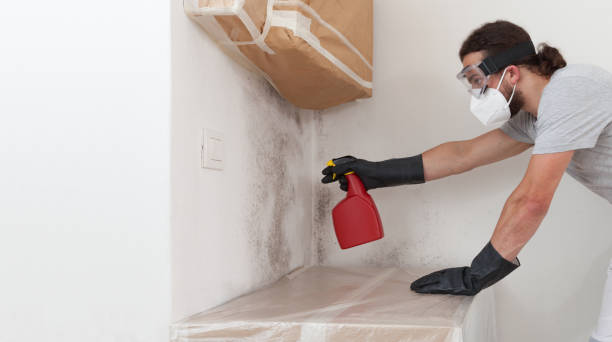 Professional Mold Remediation technician working in Sharpsburg, NC