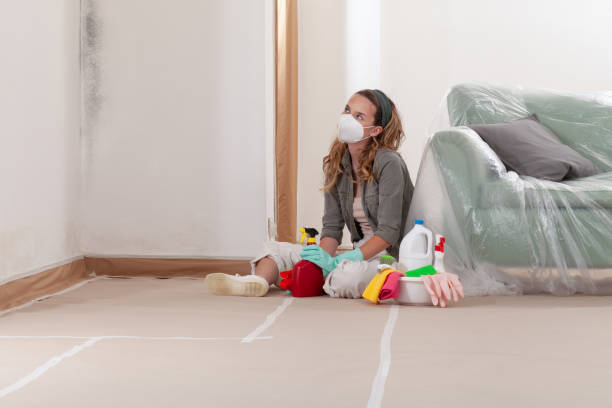 Reliable Mold Remediation contractor in Sharpsburg, NC by WQB Mold Removal